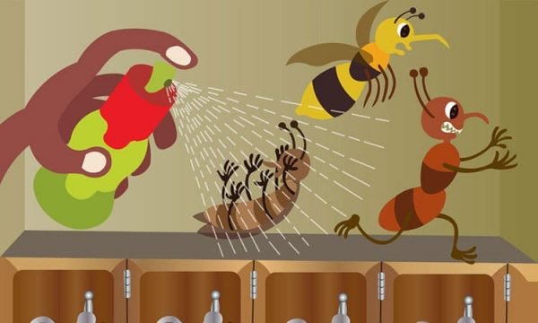 مكافحة حشرات قرناطه بالرياض